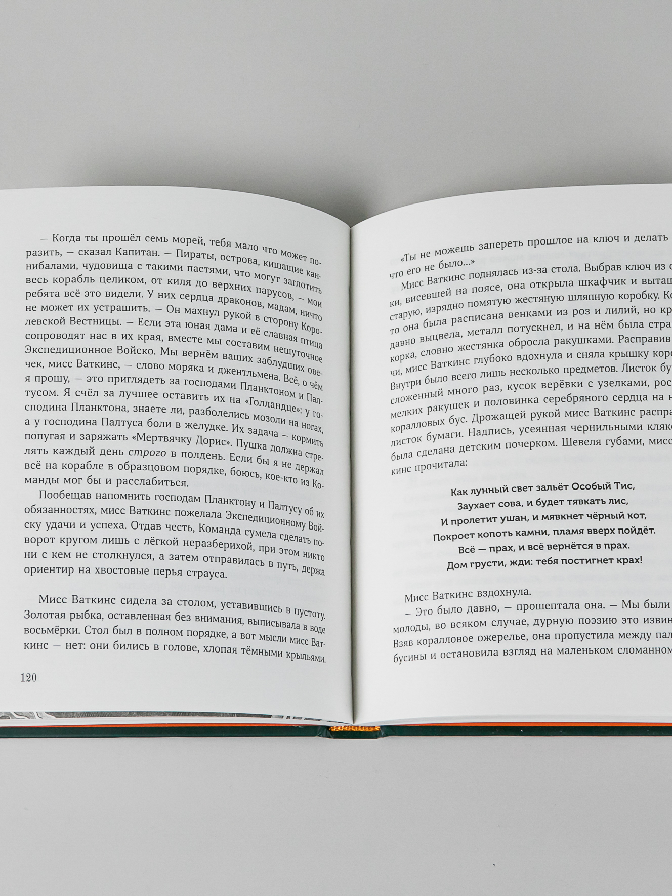 Книга Альпина. Дети Изумительная Страна Снергов - фото 11