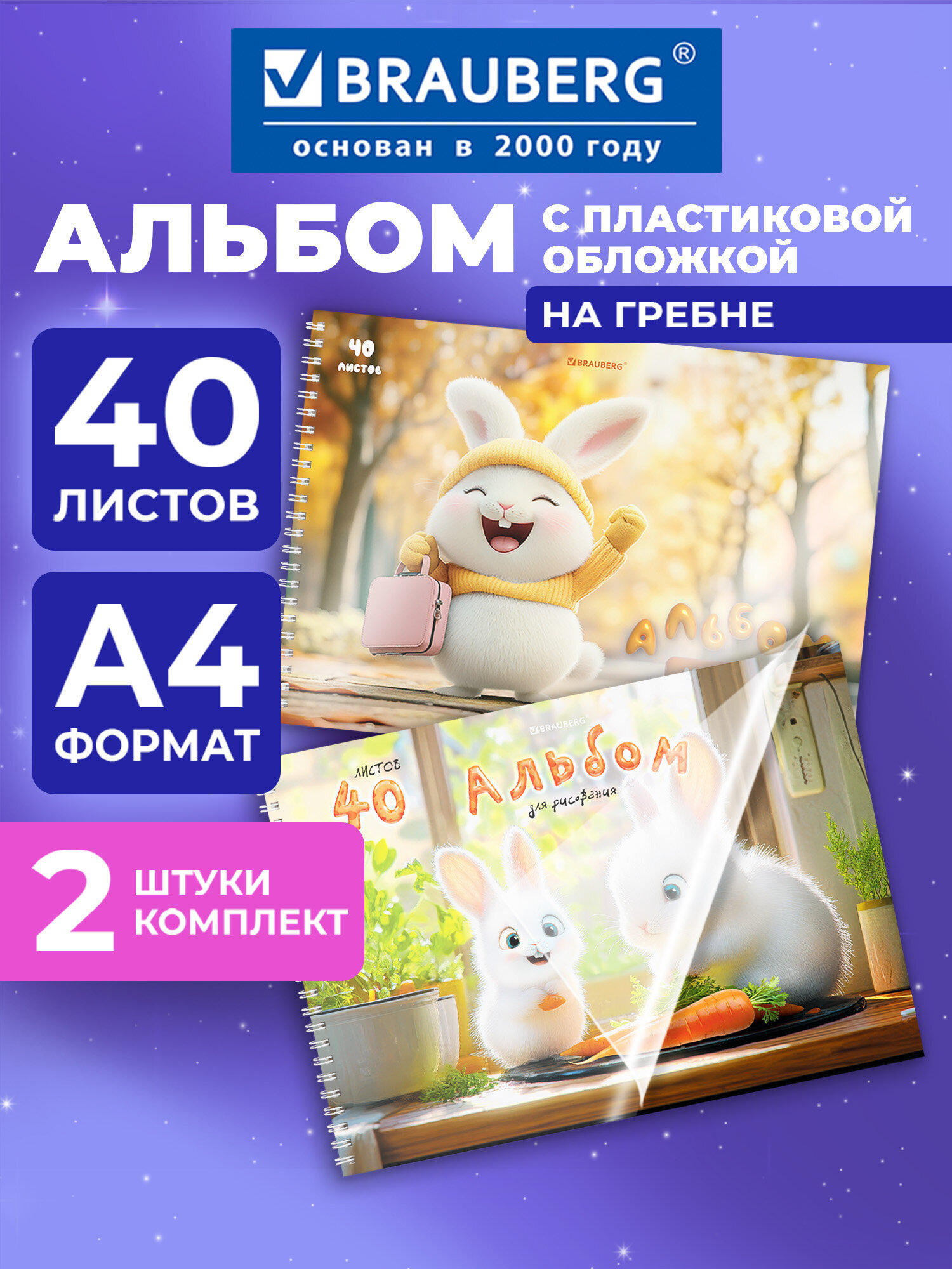 Альбом Brauberg А4 40 лист. 2 шт. - фото 1