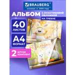 Альбом Brauberg А4 40 лист. 2 шт.