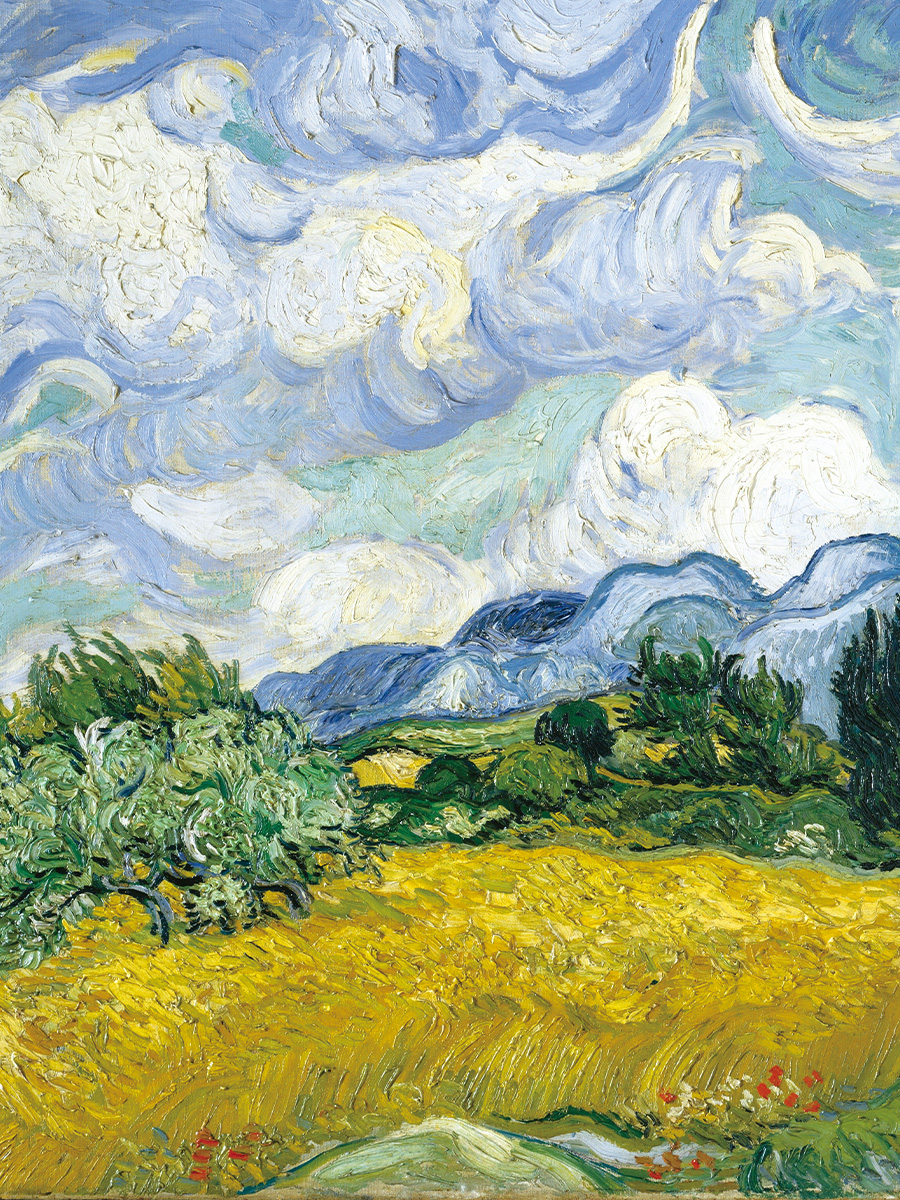 Пазл Hape Пазл для детей Умняша деревянный - фото 7