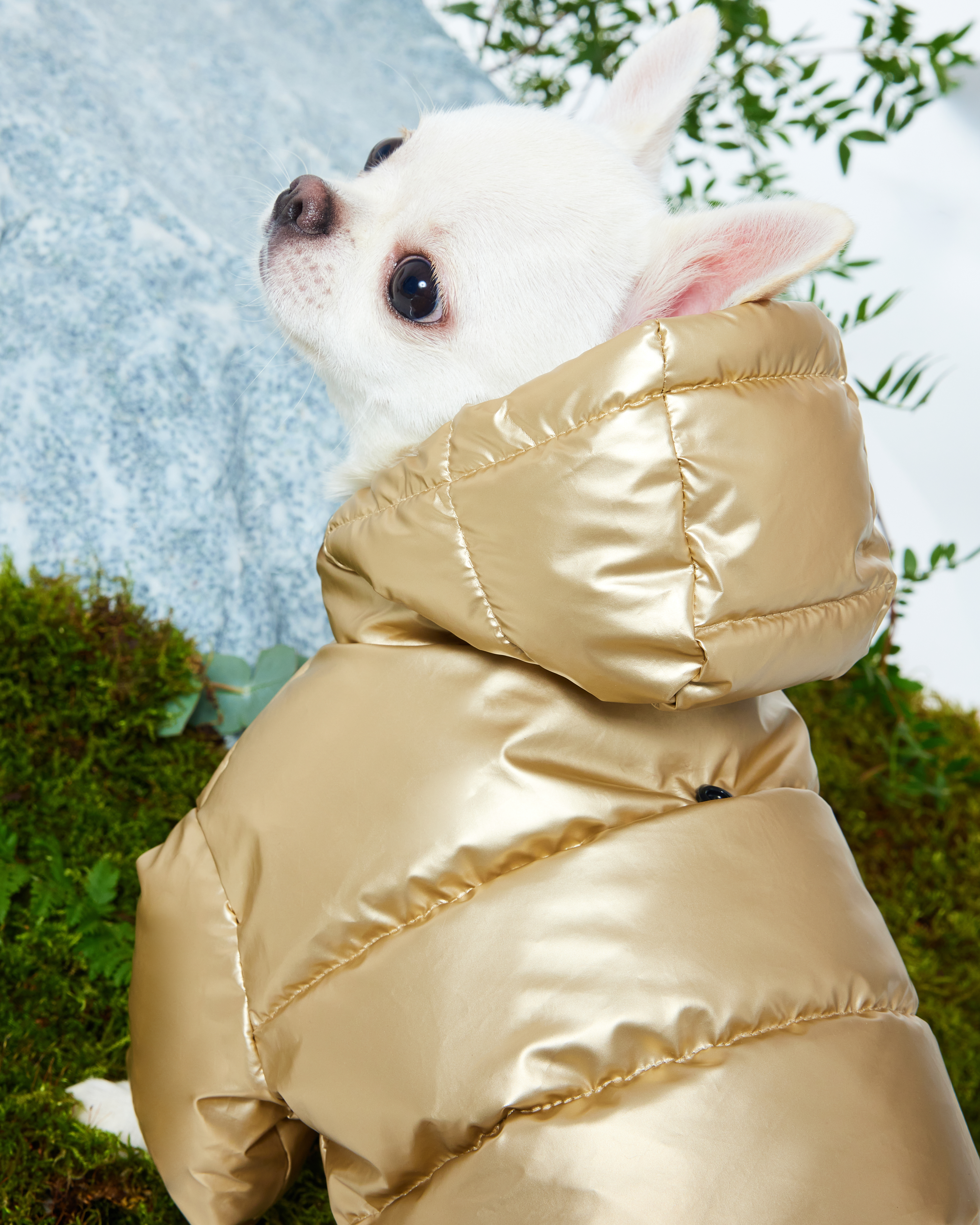 Комбинезон для собак и кошек Зоозавр - фото 14