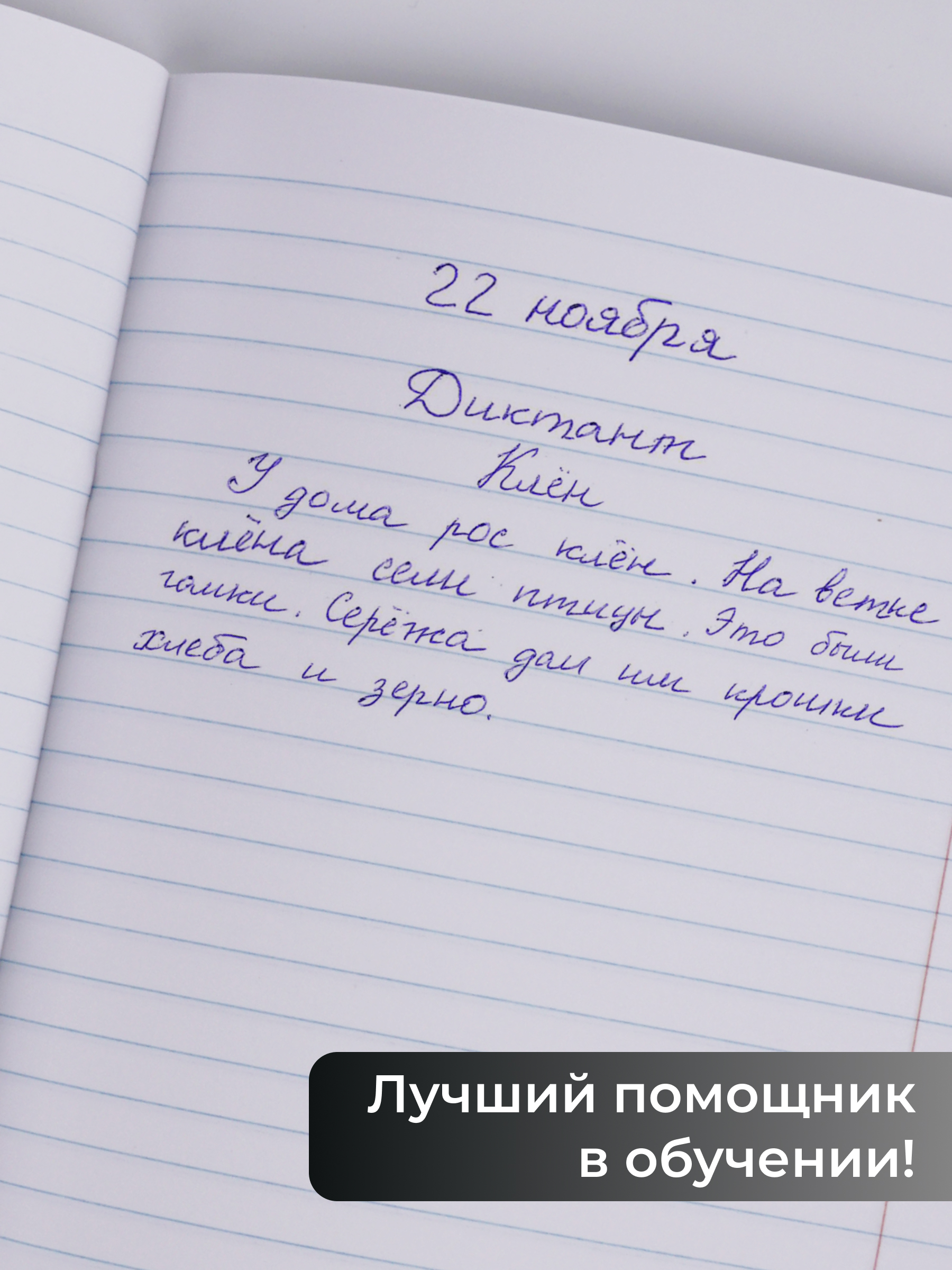 Тетрадь Listoff линейка 10 шт. - фото 4