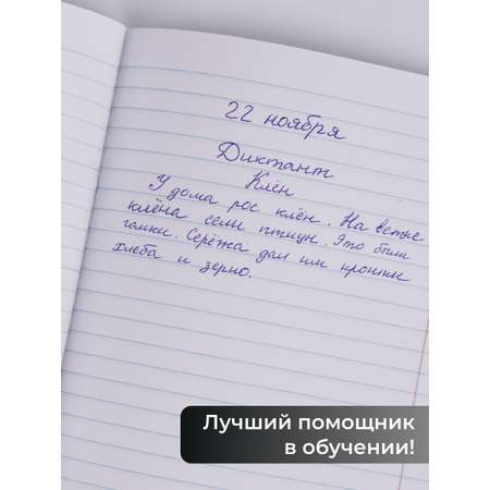 Тетрадь Listoff линейка 10 шт.
