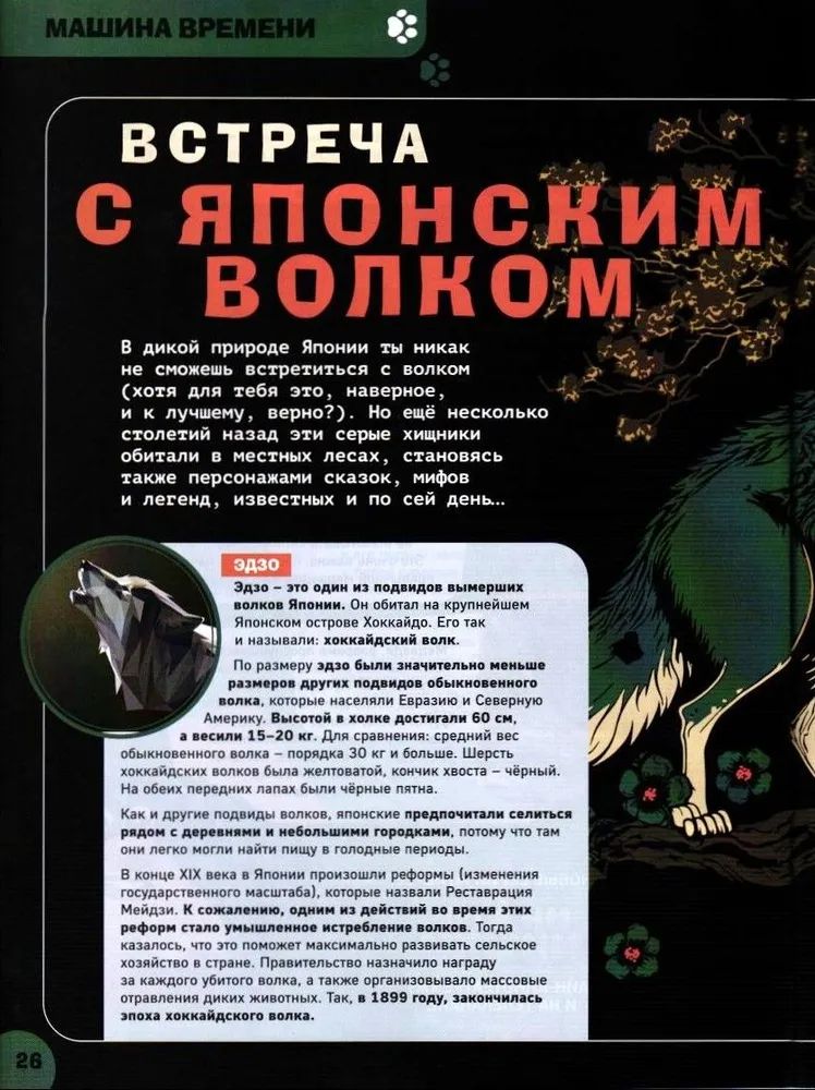 Набор детских журналов ИД Лев Тошка №3 и №9 2025г - фото 4