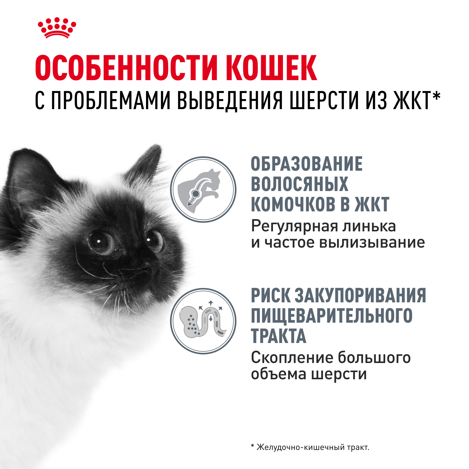 Корм для кошек ROYAL CANIN Hairball care для снижения риска образования волосяных комочков 85г - фото 3