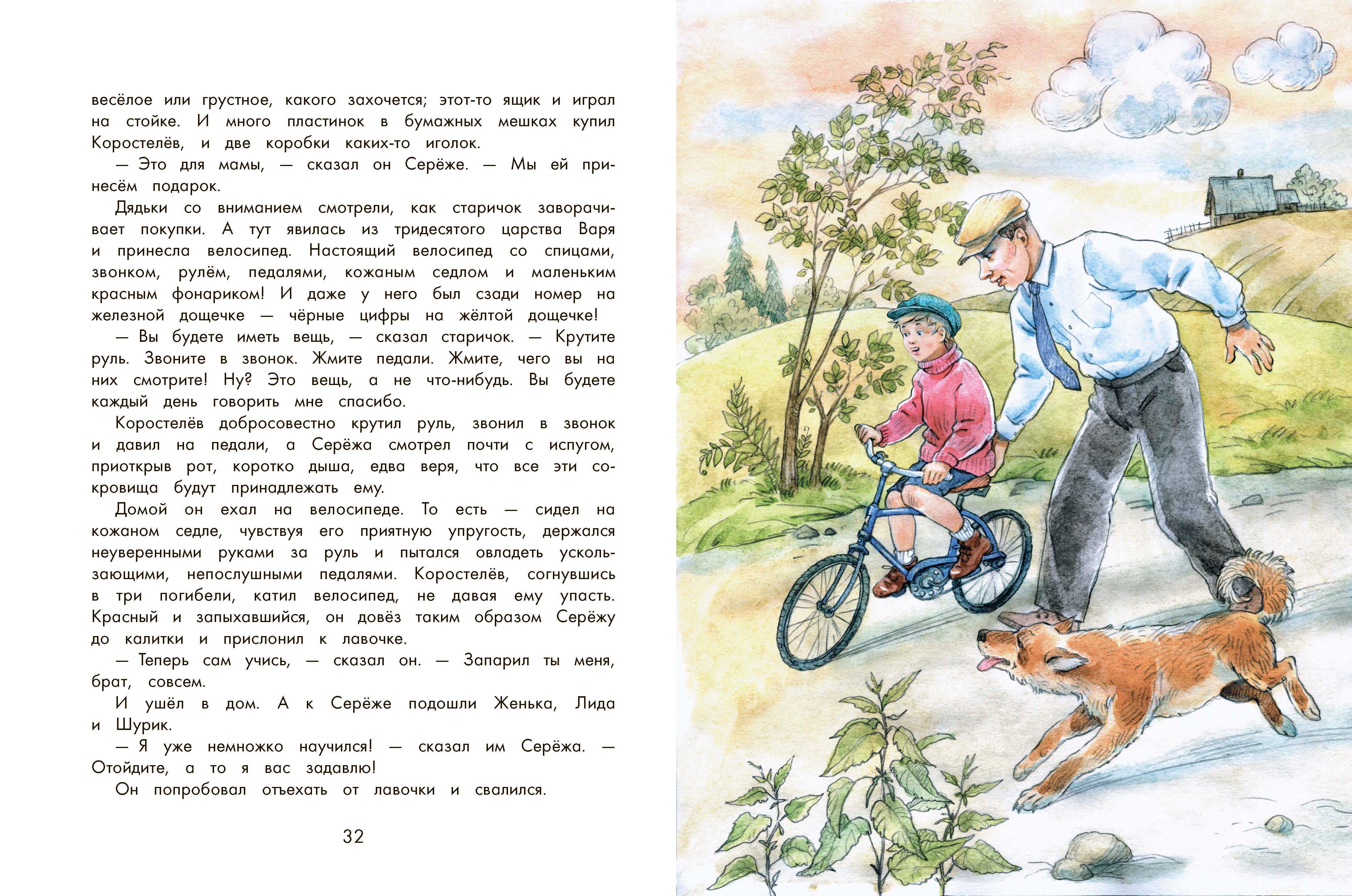 Книга Качели Серёжа - фото 6