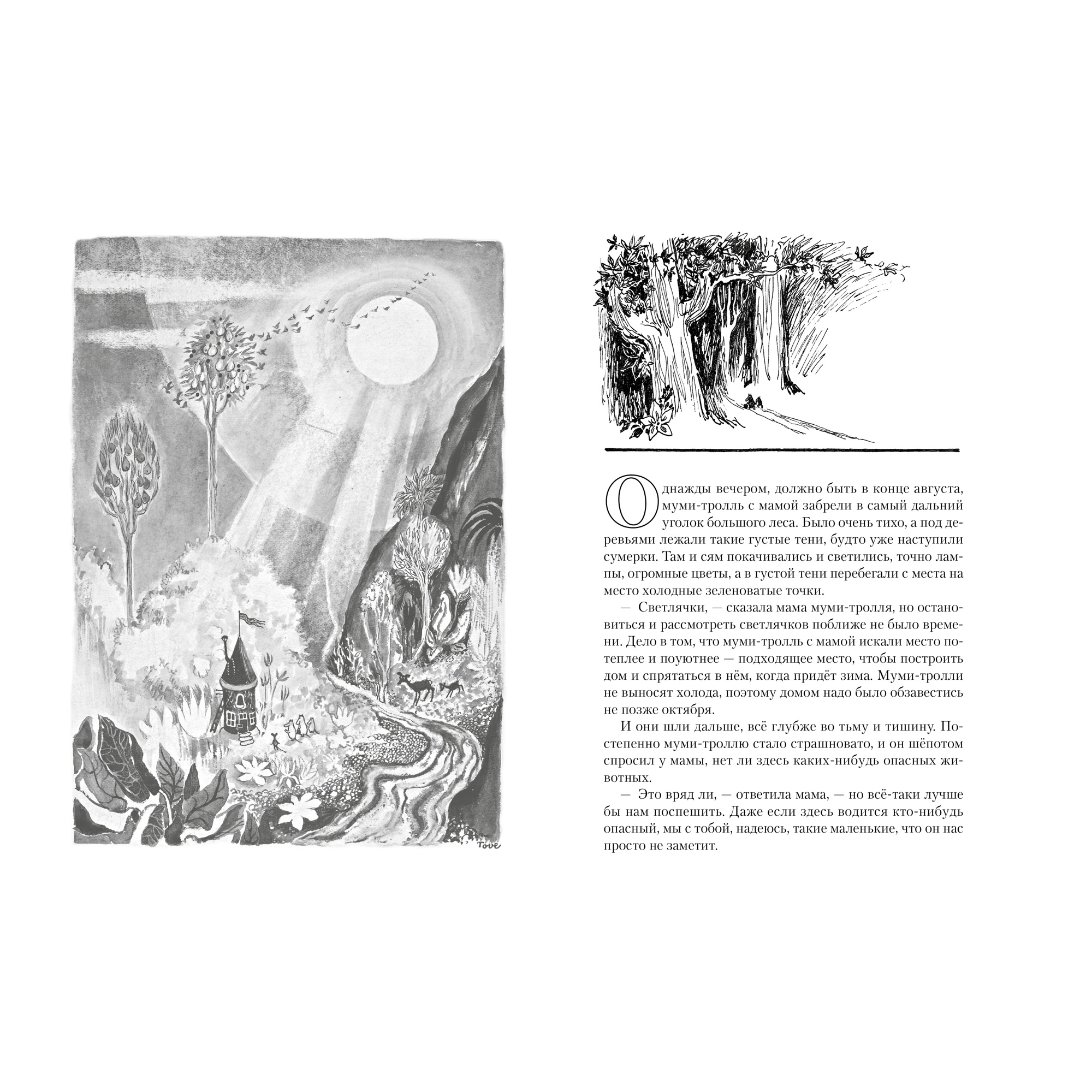 Книга АЗБУКА Всё о Муми-троллях. Книга 1 Янссон Т. Серия: Всё о... - фото 2