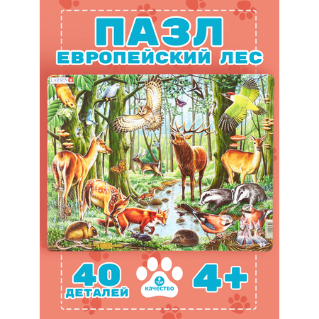 Пазл Larsen классический