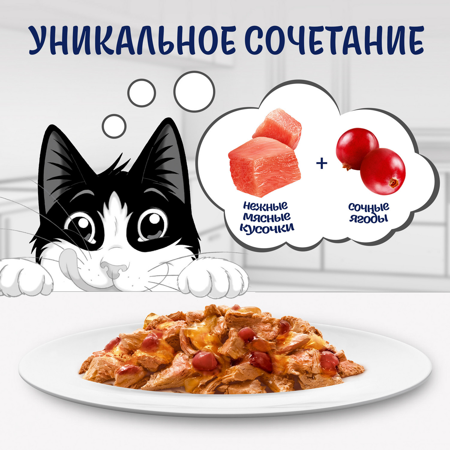 Корм для кошек Felix Sensations Супер Вкус индейка-ягоды 75г - фото 2