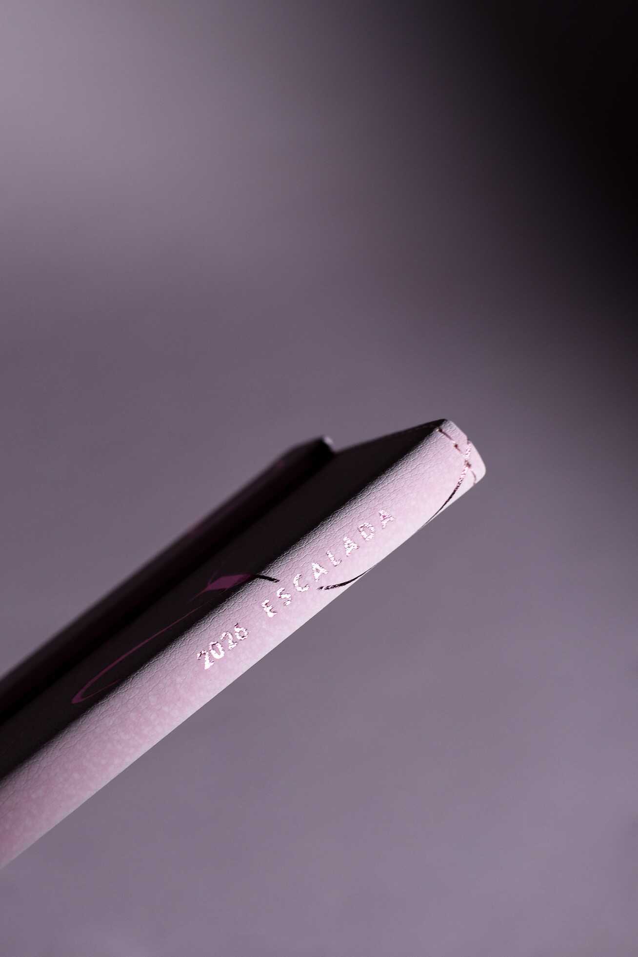 Ежедневник Феникс + ESCALADA 64 лист. - фото 18