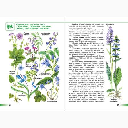 Книга Просвещение От земли до неба. Атлас-определитель. 1-4 класс