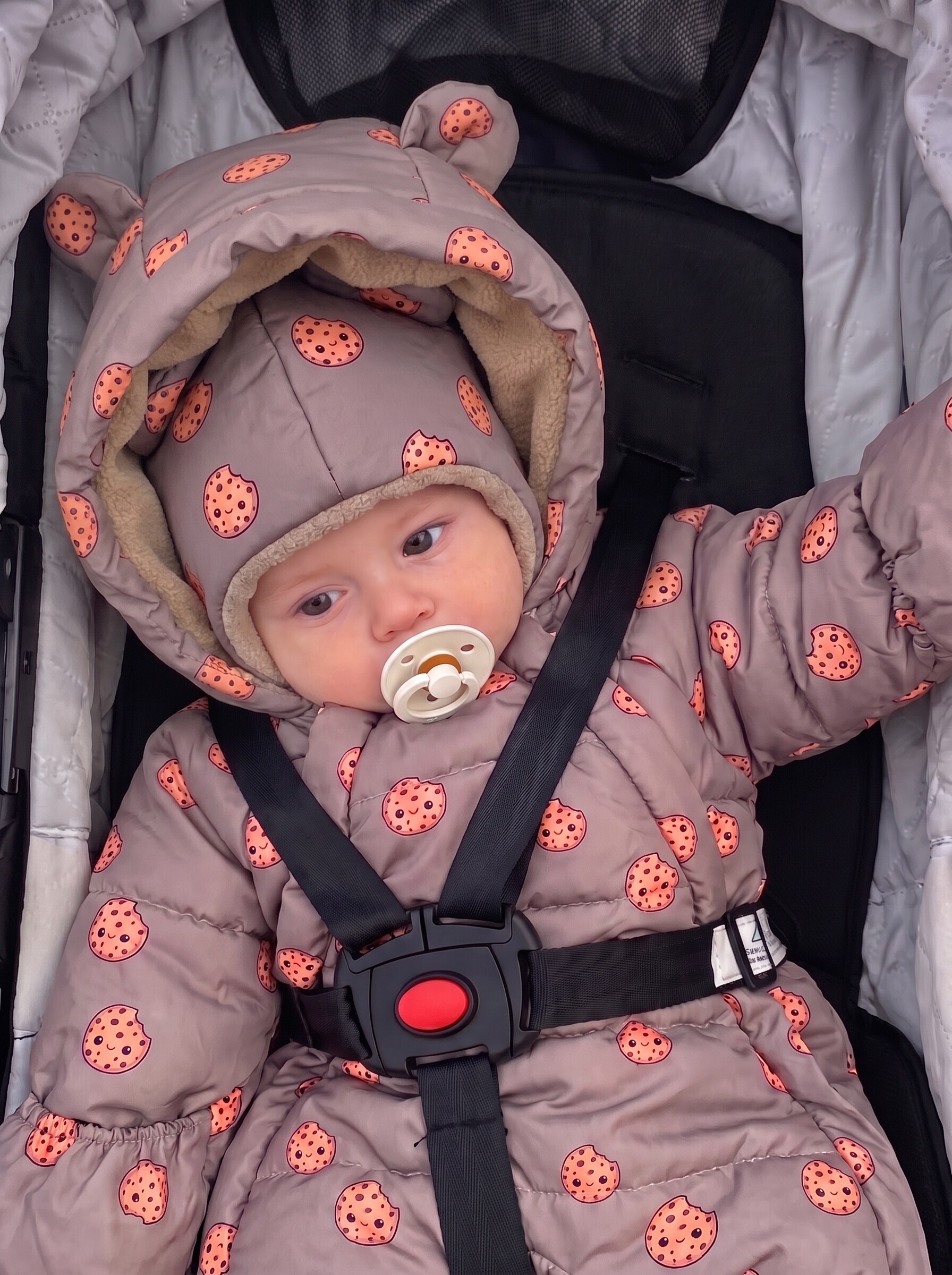 Конверт на выписку KARPBABy коричневый - фото 9