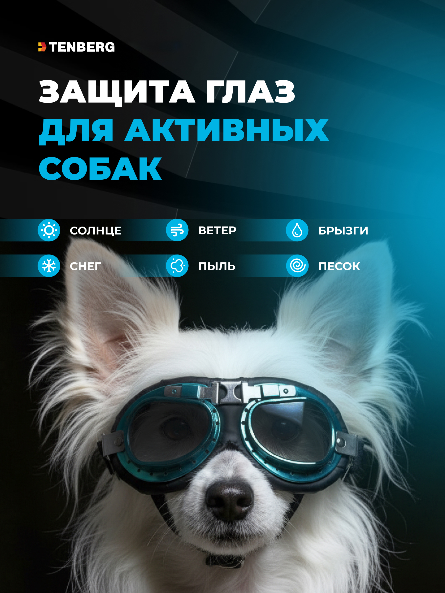 Солнцезащитные очки для собак TENBERG Barkley UV Mini - фото 7