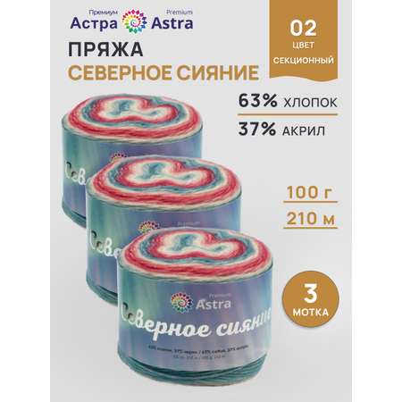 Пряжа Astra Premium 100гр 210м 3шт