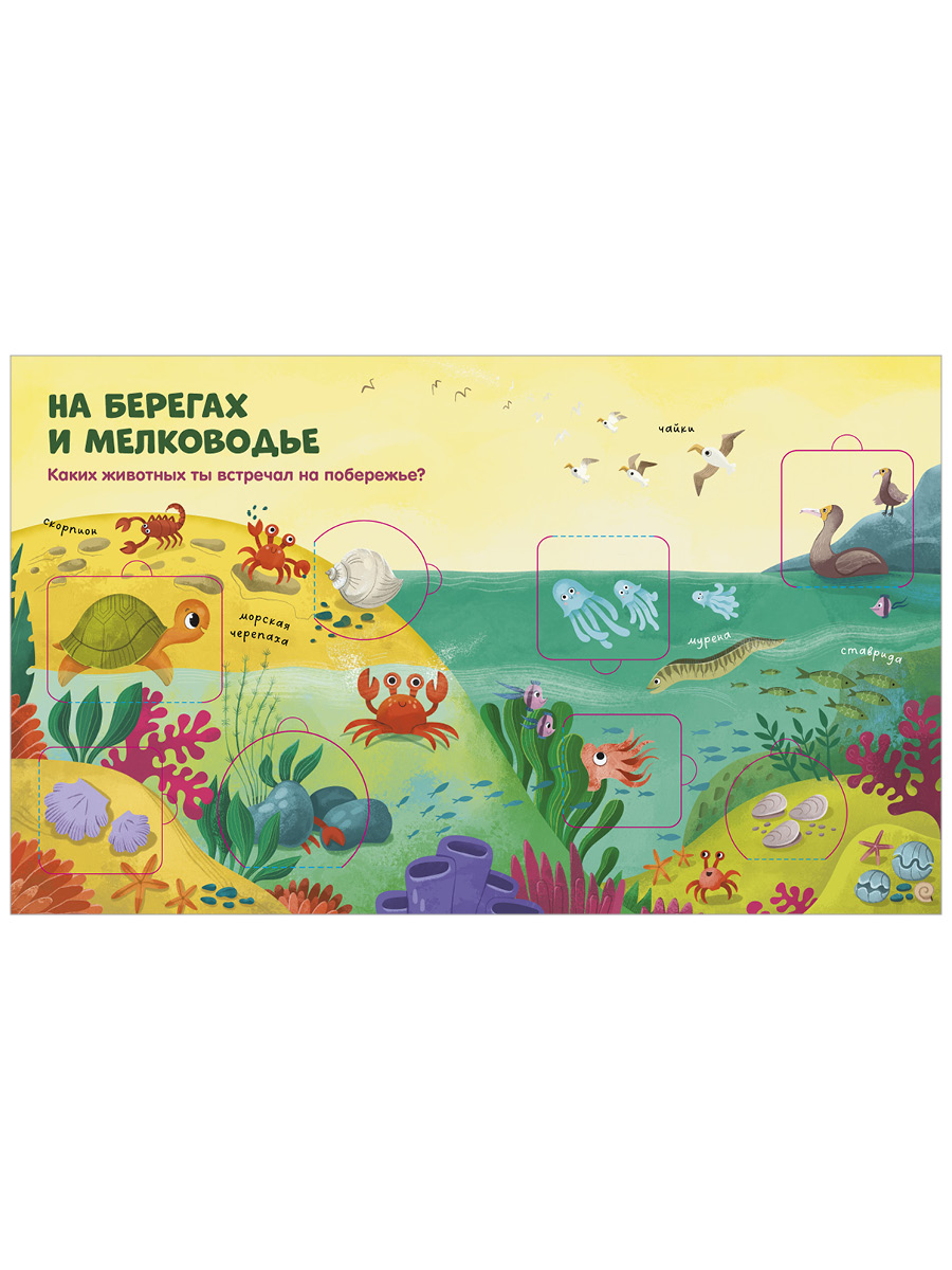 Книга Clever Океаны и моря - фото 6