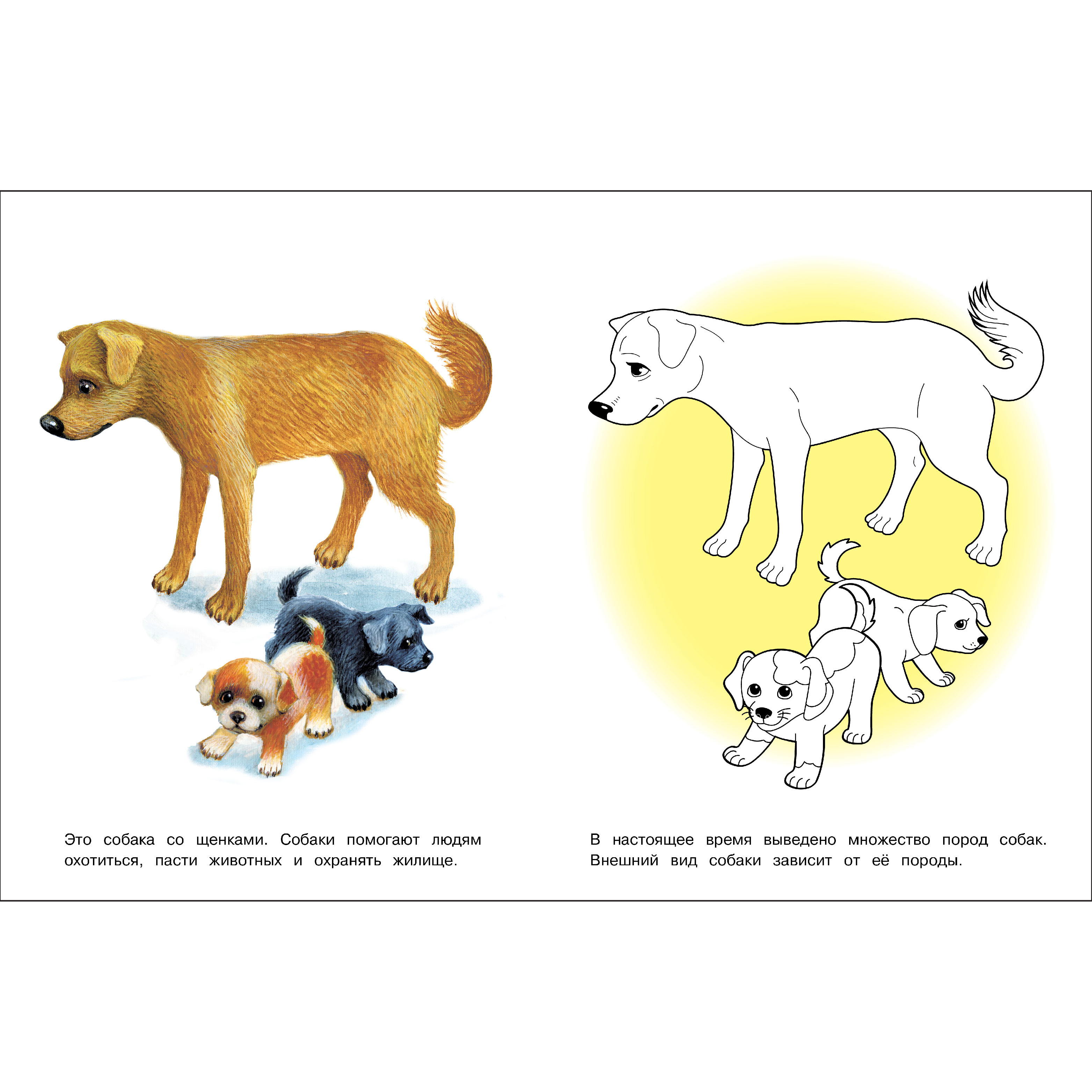 Комплект книг СТРЕКОЗА Раскраски - фото 6