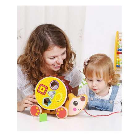 Игрушка Tooky Toy каталка
