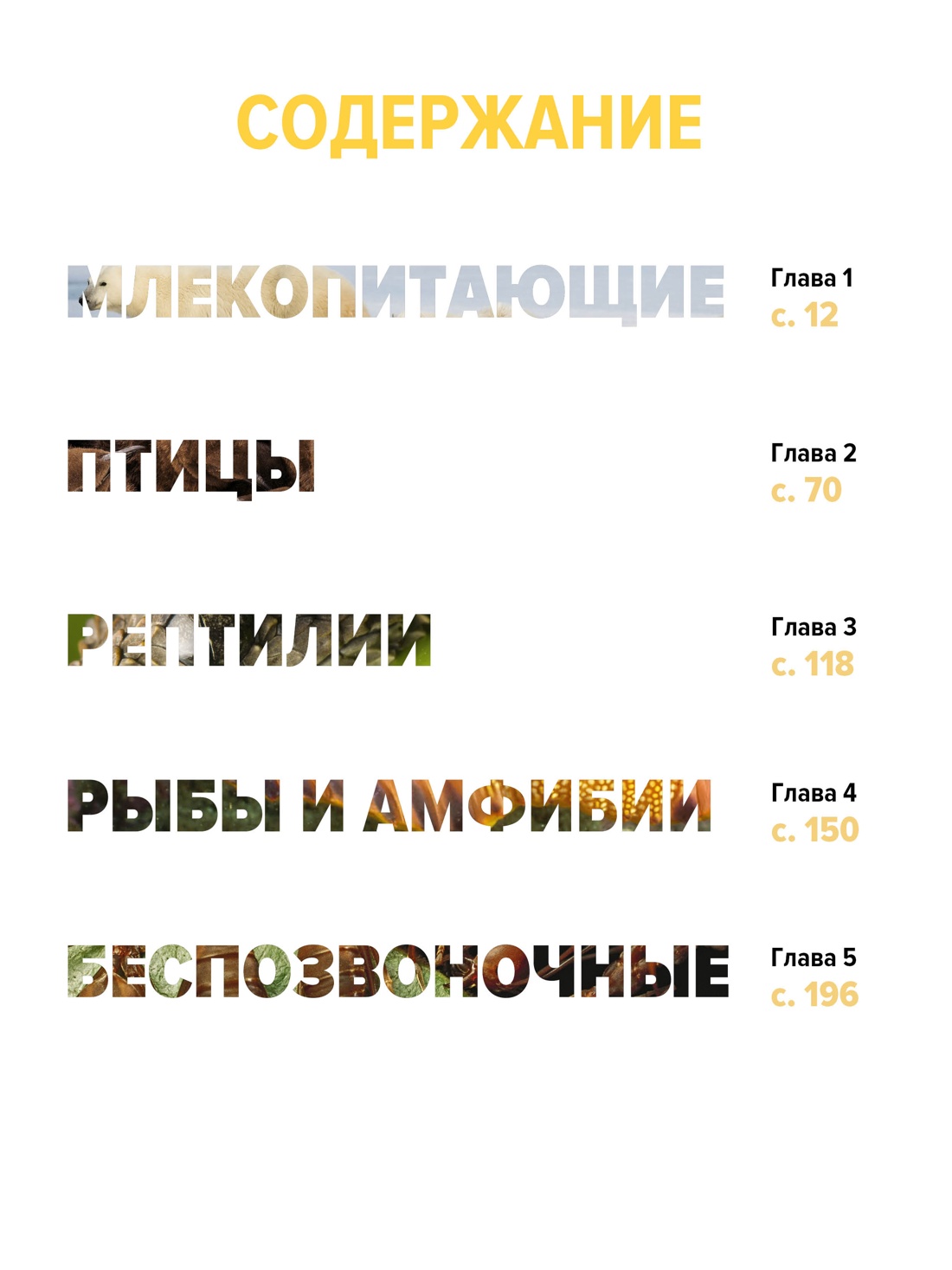 Книга Махаон Бертонатти К. Перейра Х. А. Тайны животных - фото 5