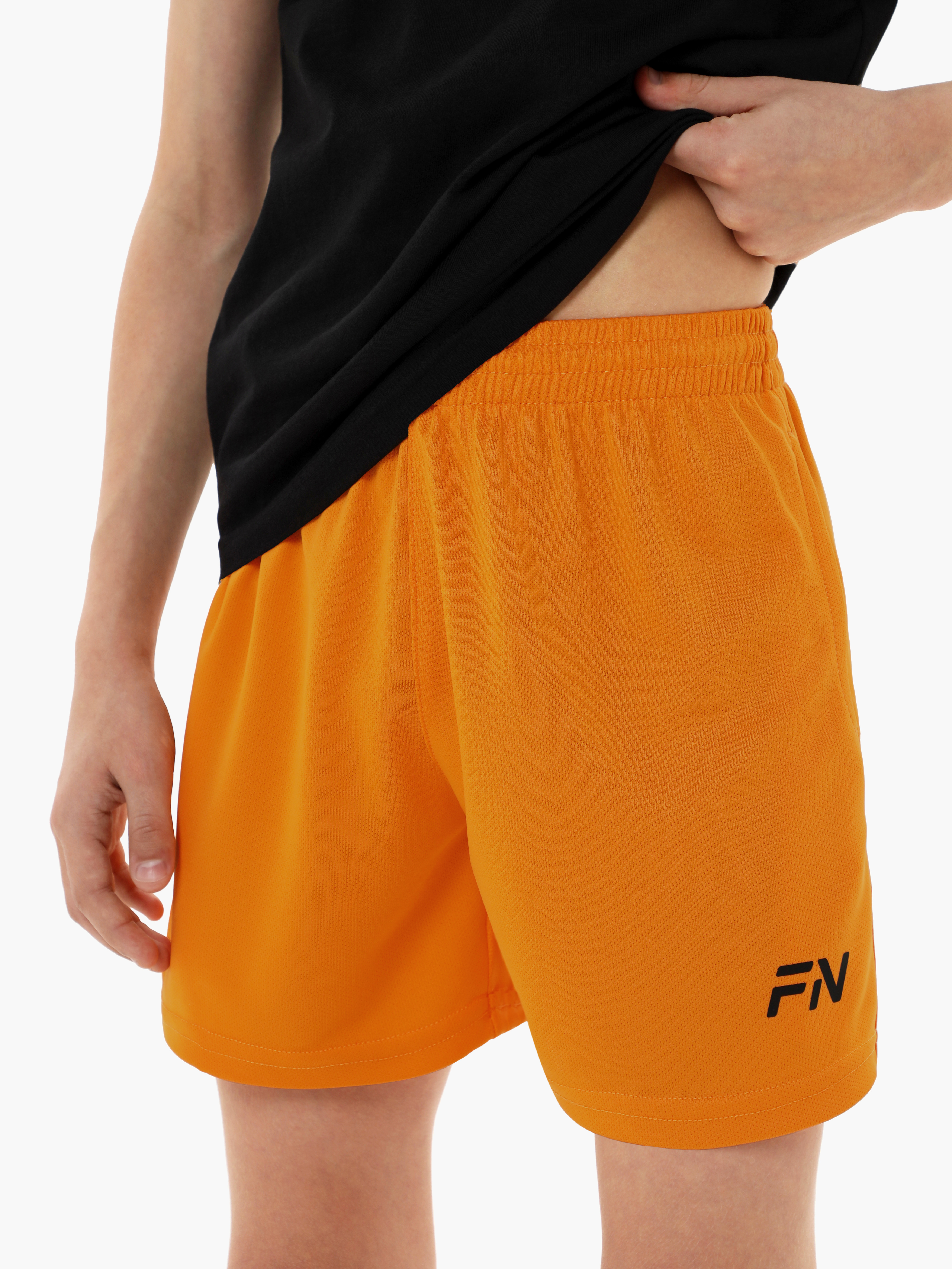 Изображение товара Шорты FN: 146