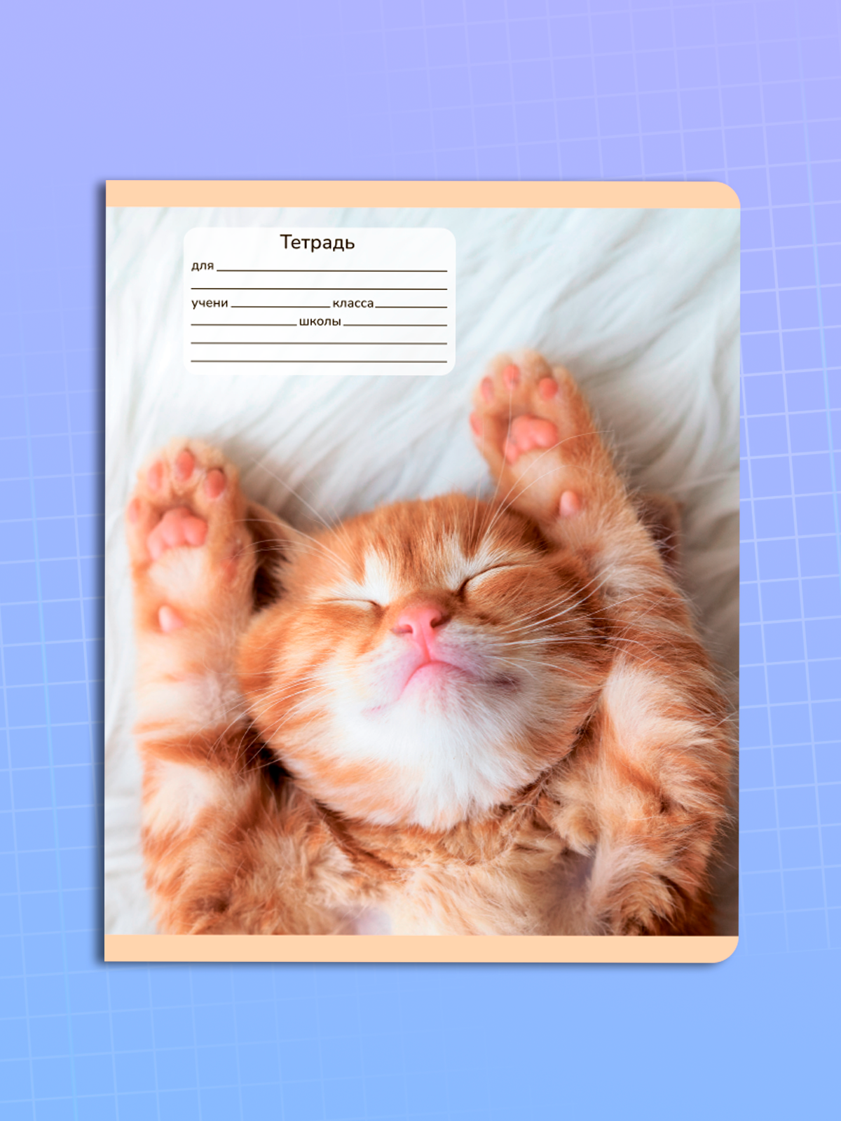 Тетрадь AXLER клетка 18 лист. 10 шт. - фото 9