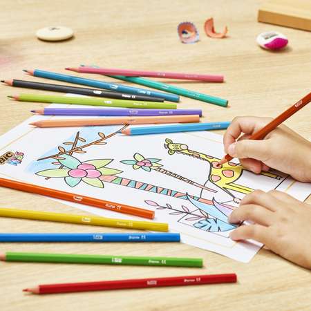 Карандаши цветные BIC 24 шт.