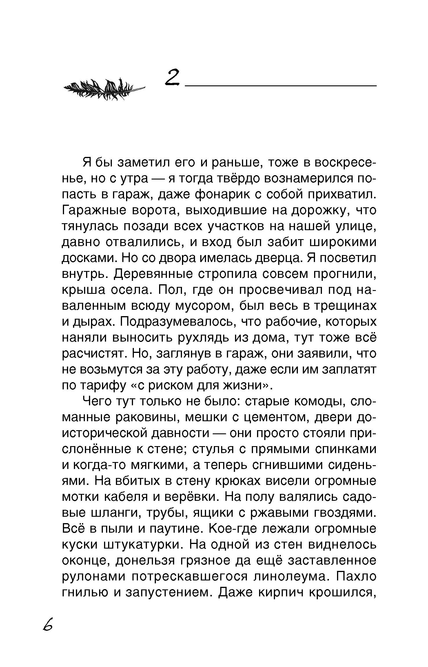 Книга Качели Скеллиг - фото 5