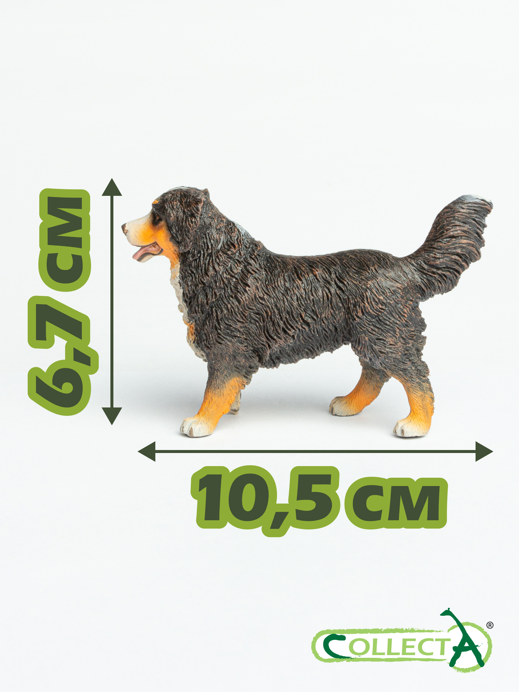 Фигурка Collecta Бернский зенненхунд - фото 2