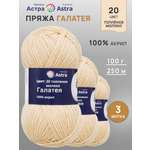 Пряжа для вязания Astra Premium 100г 250м 3шт