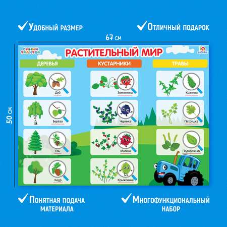 Обучающие плакаты Синий трактор Для малышей