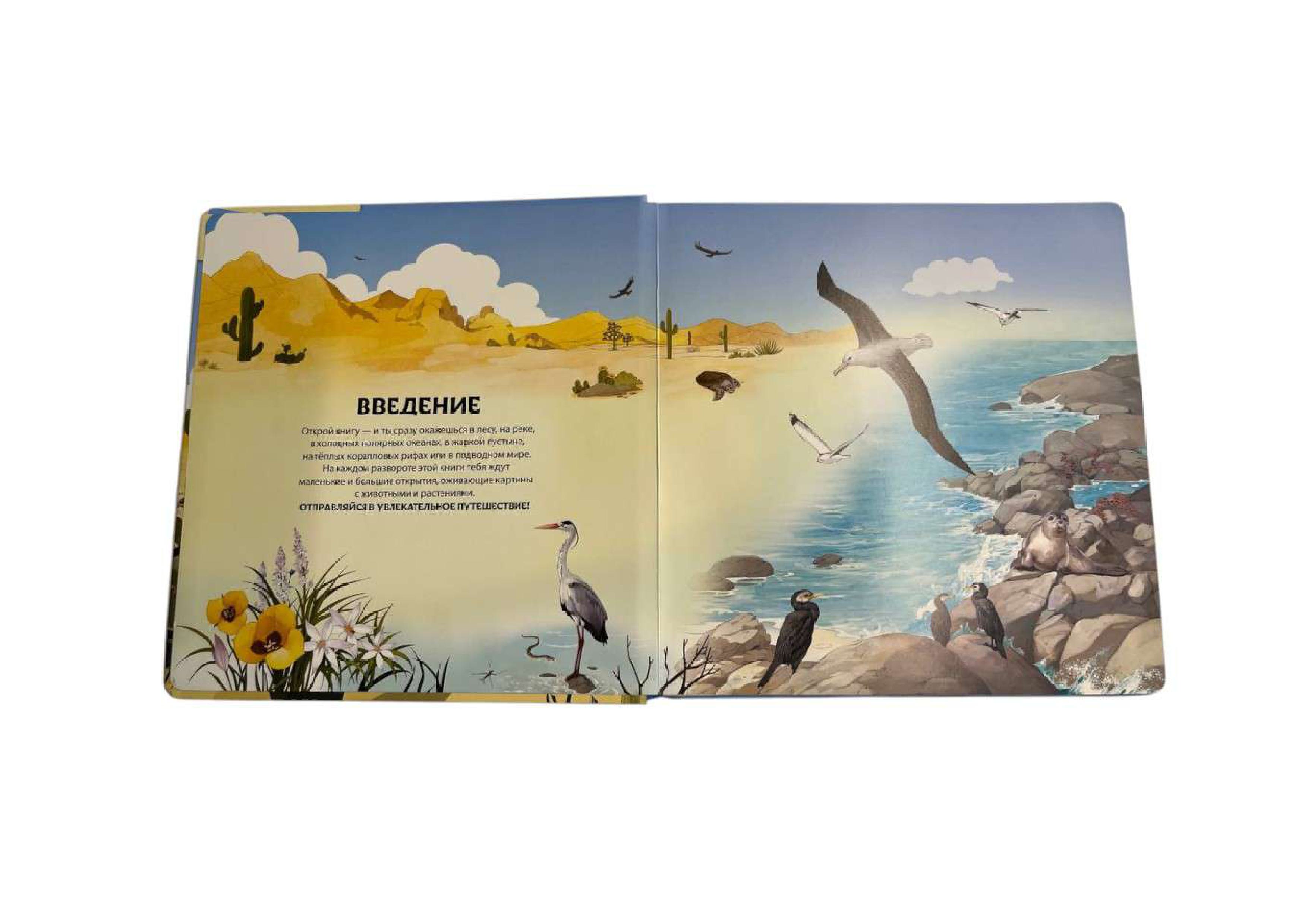 Книга Эксмо Животные и растения Энциклопедия - фото 2