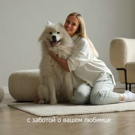 Корм сухой для собак Purshat мелких пород с говядиной и рисом Superpremium 1.5 кг