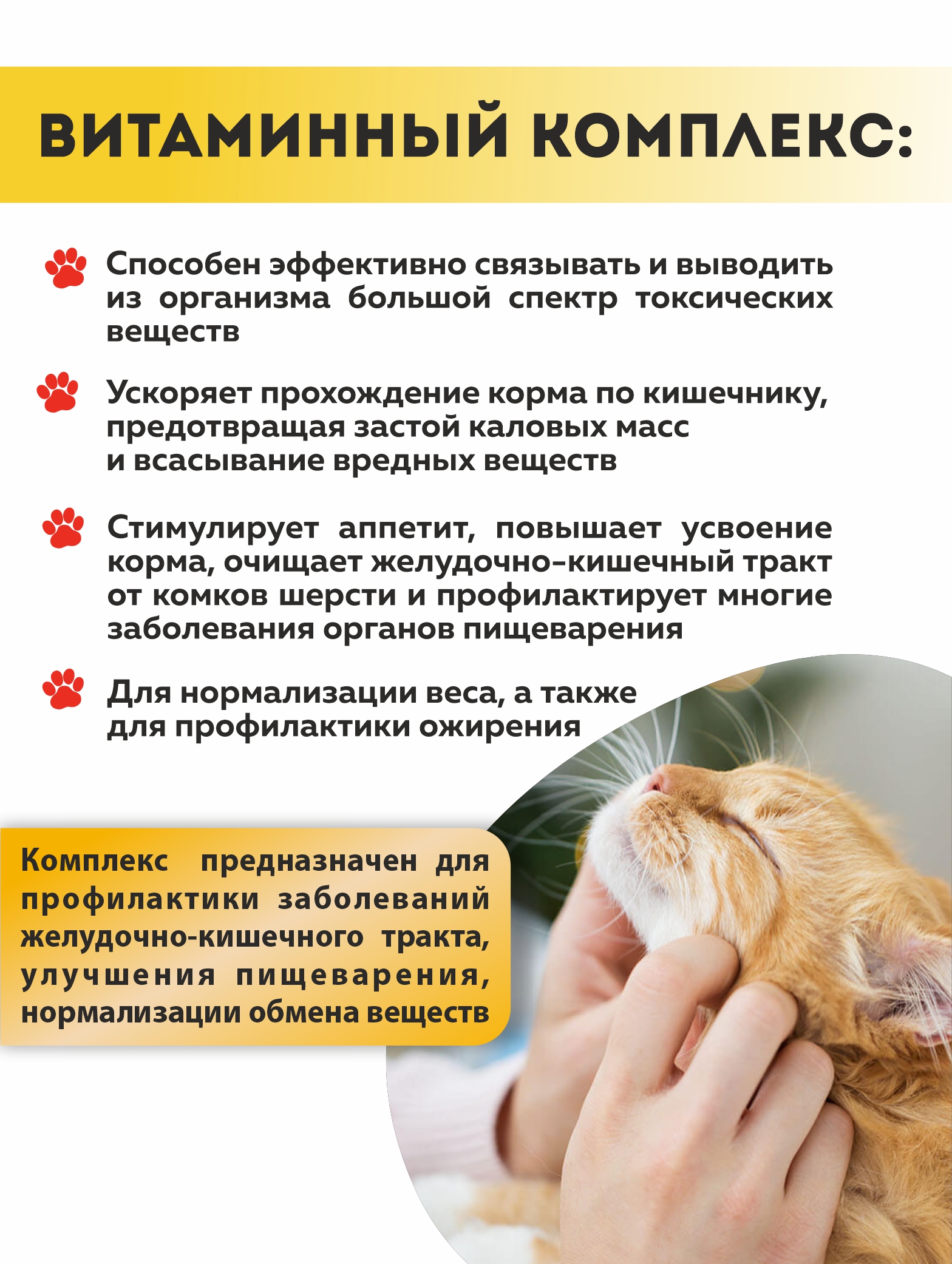 Витаминный комплекс ALTAI ANIMAL для кошек Здоровое пищеварение - фото 2