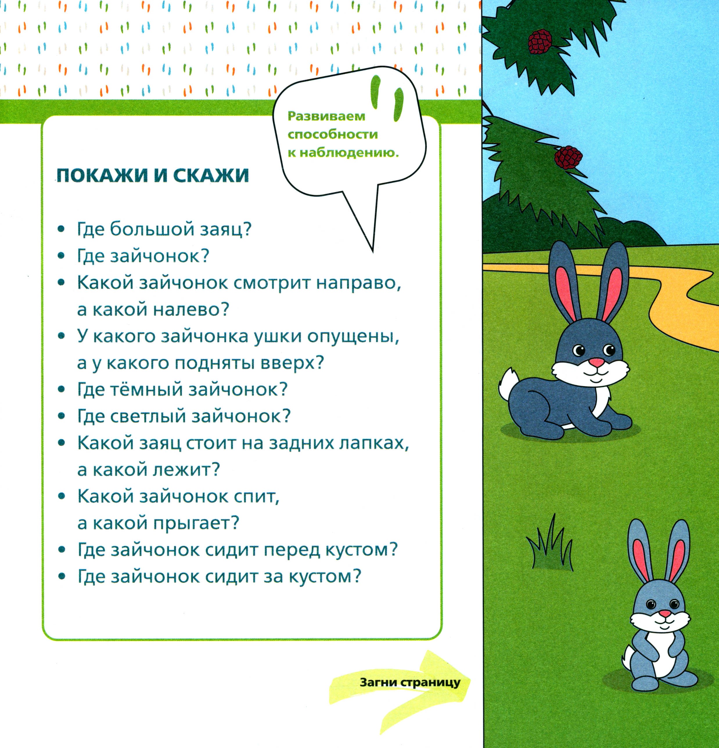 Книга Тойвиль Лесные зверята - фото 6
