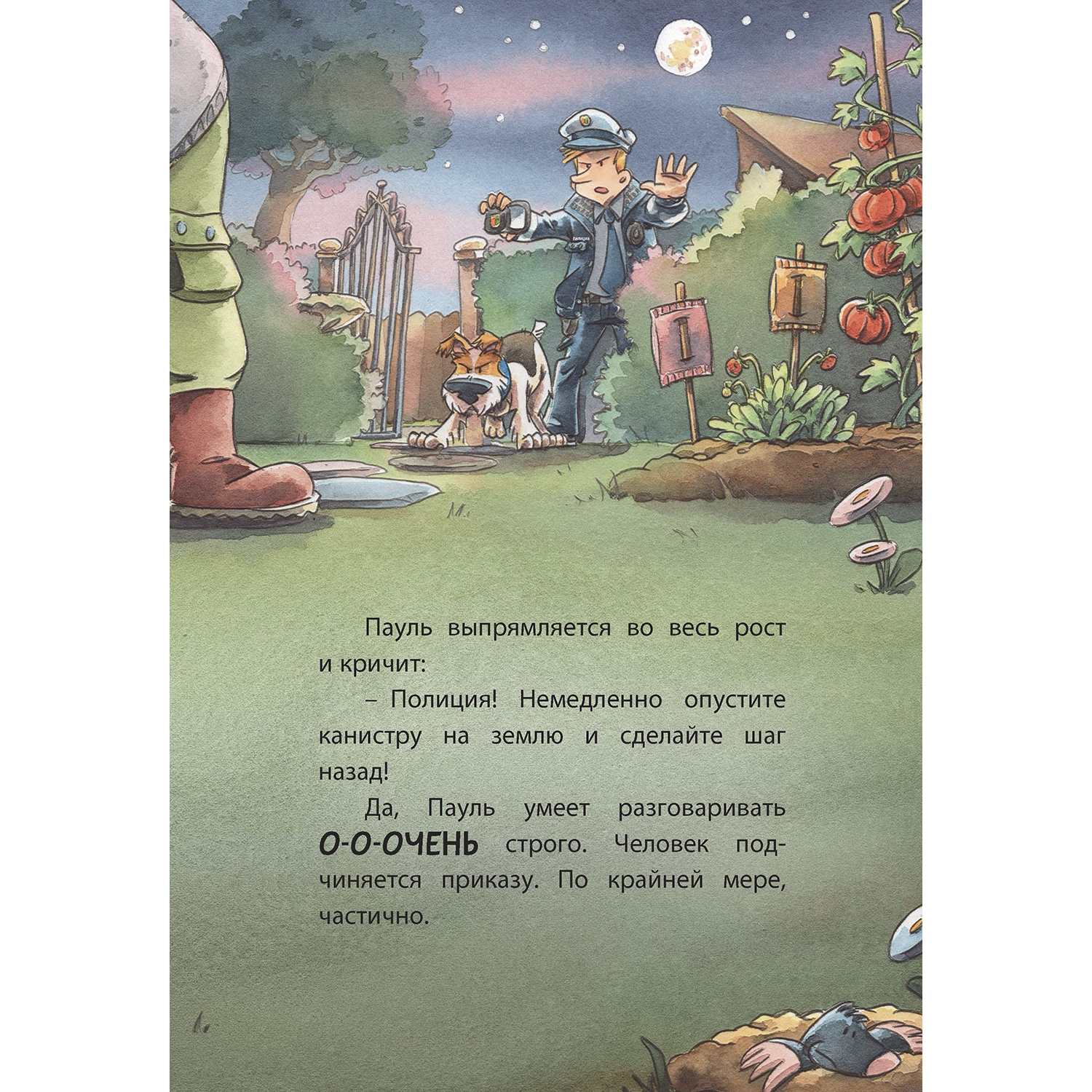 Книга ЭНАС-КНИГА Комиссар Лапа Охота на поджигателя - фото 13
