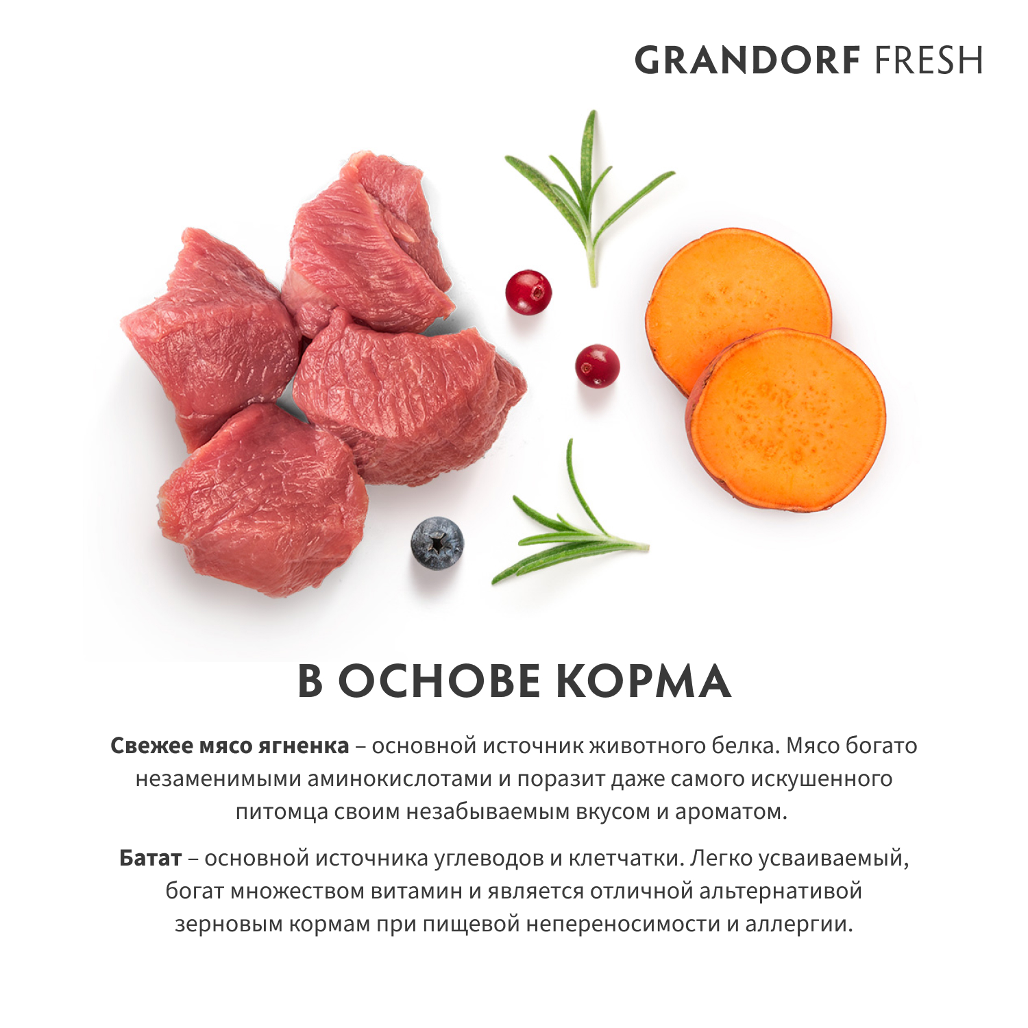 Корм для собак GRANDORF FRESH Fresh Dog Adult Maxi Lamb/Sweet Potato круп пород Свежее мясо ягненка 3кг беззерн с жив пробиотиками - фото 3