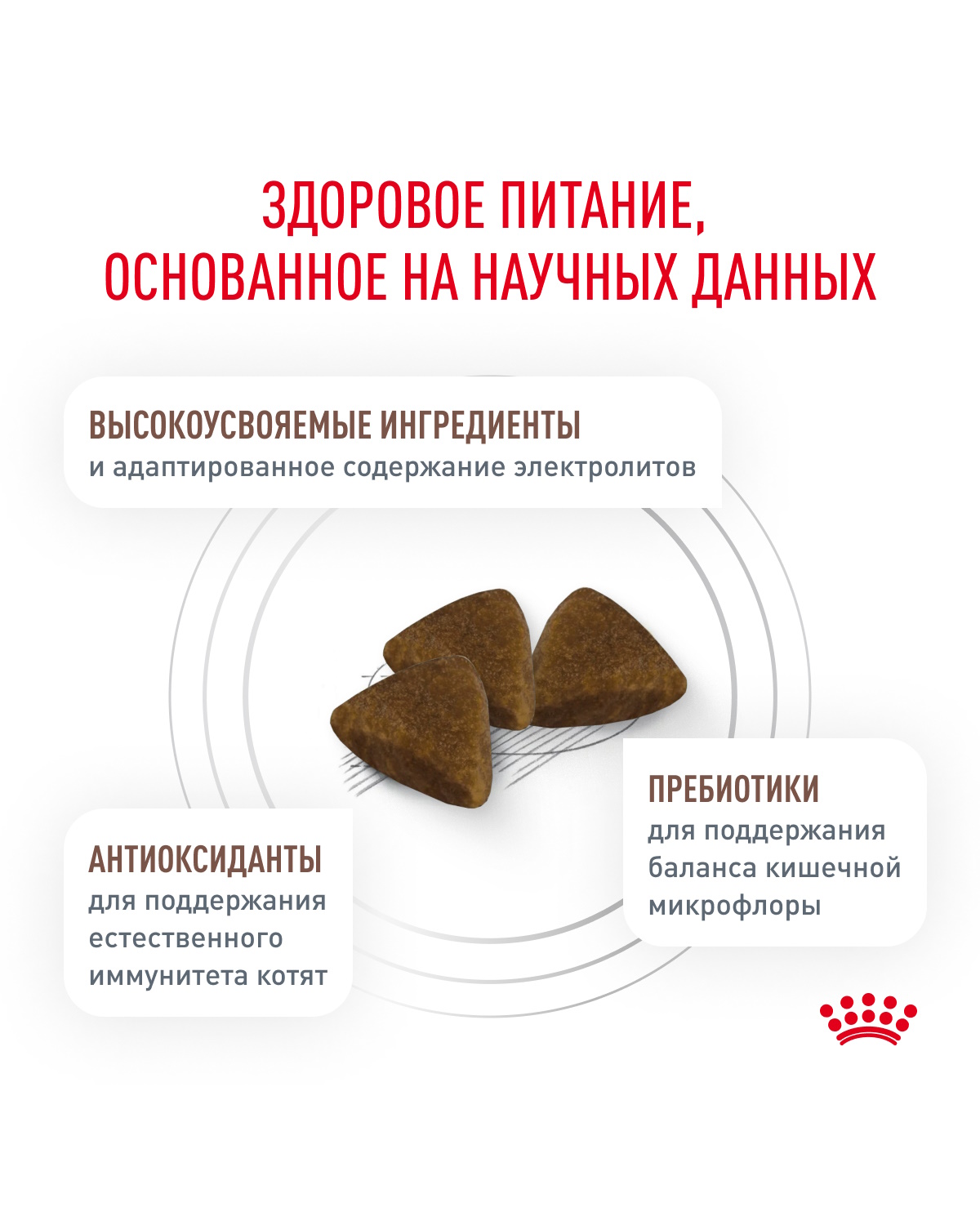 Корм для котят ROYAL CANIN Gastrointestinal kitten при нарушениях пищеварения 350г - фото 4