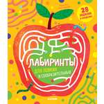 Книга Clever Лабиринты для ловких и сообразительных