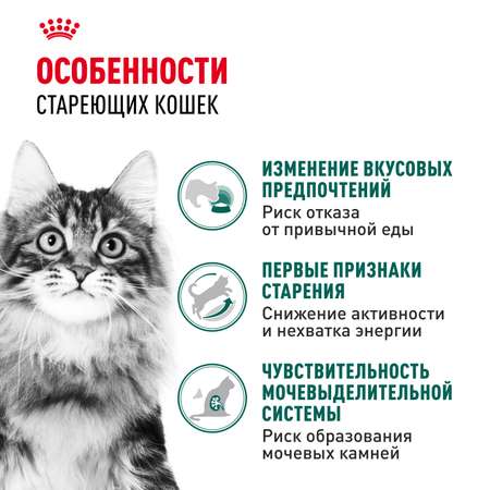 Корм влажный для кошек ROYAL CANIN Instinctive 85г соус пауч