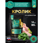 Корм влажный для кошек Clan De File Кролик со шпинатом кусочки в соусе пауч 85г 14 шт
