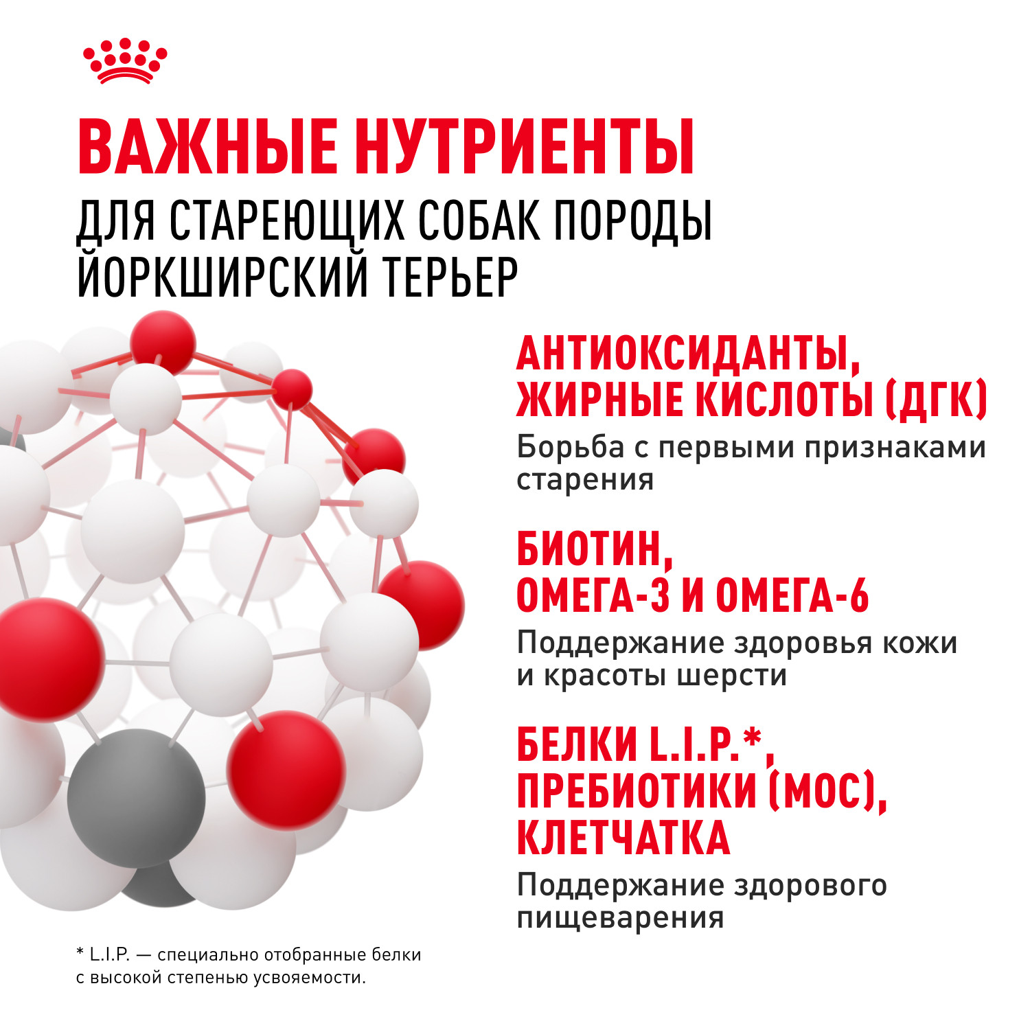 Корм для собак ROYAL CANIN породы йоркширский терьер 8+ пожилые 500г - фото 5