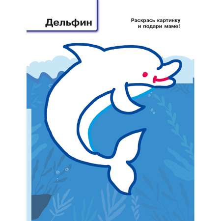 Раскраска с цветным контуром Зоопарк