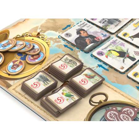 Настольная игра Стиль жизни По стопам Дарвина