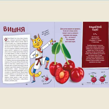 Книга АЙАР Кот Брюс и фрукты-овощи