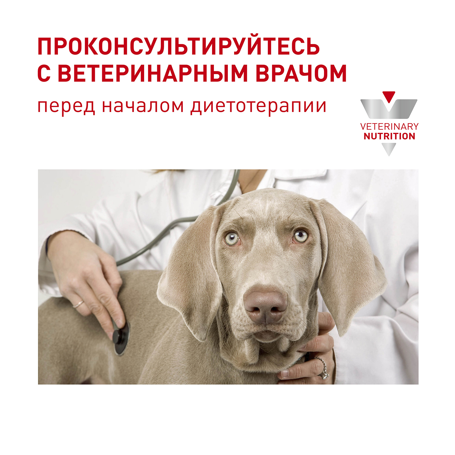 Корм для собак ROYAL CANIN Neutered Adult кастрированных средних пород 3.5кг - фото 5