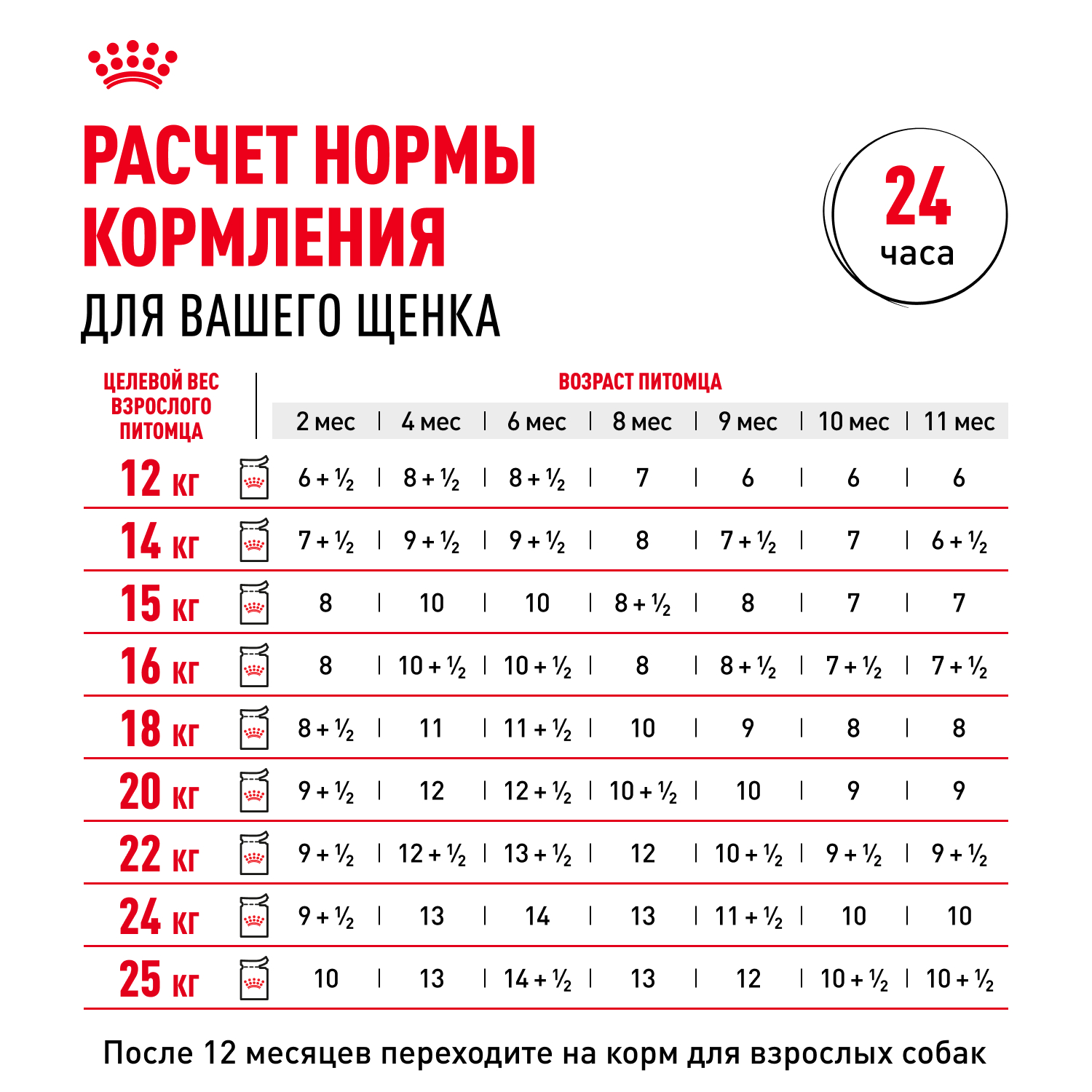 Корм для щенков влажный ROYAL CANIN Medium Puppy средних пород в возрасте до 12 месяцев соус 100 г - фото 9