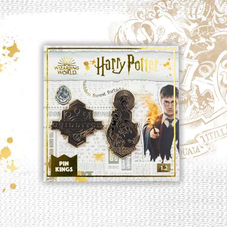 Значок Harry Potter Квиддич и Живоглот 2 шт.