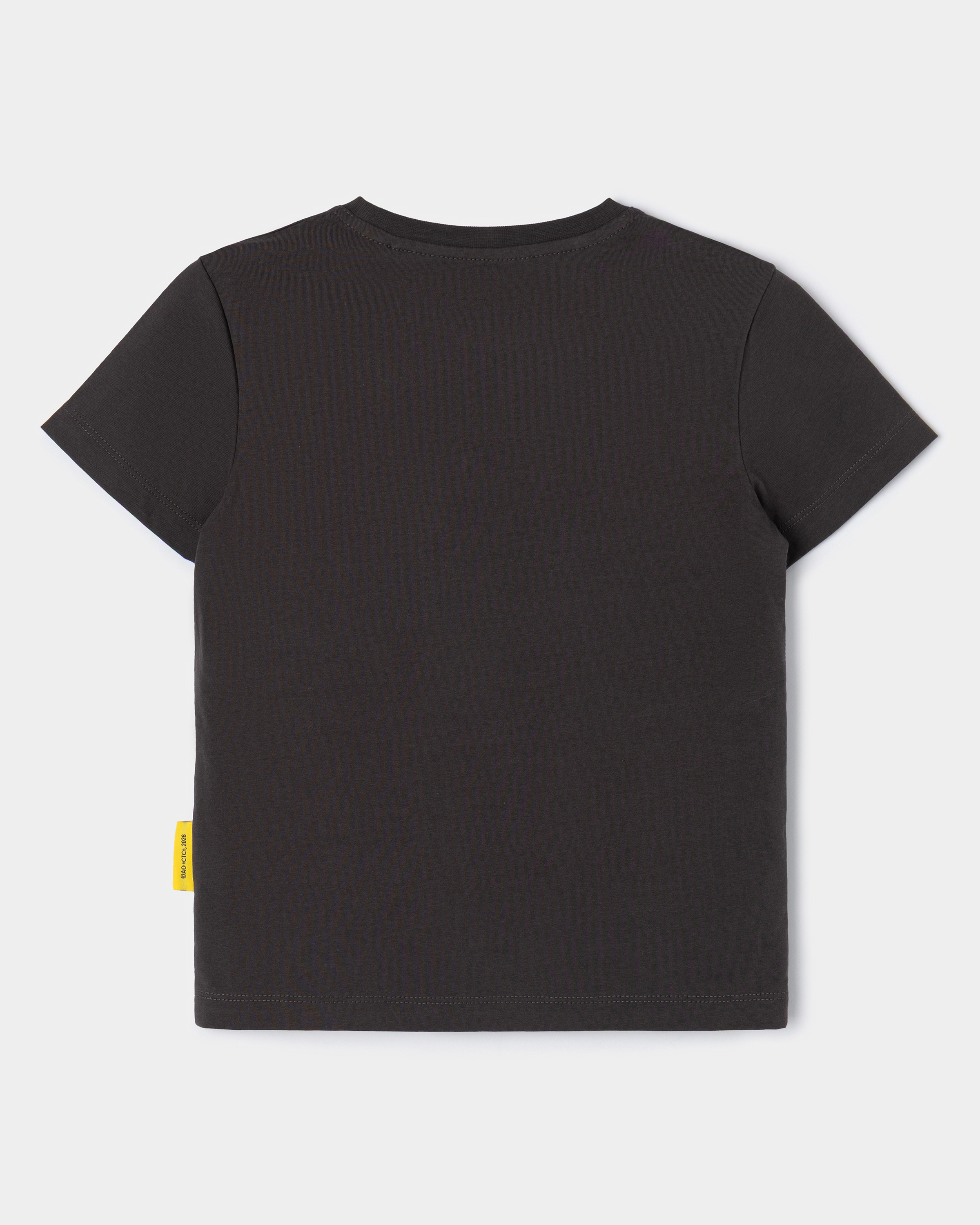 Футболка Три кота S26LC1ZB 02434kbDG - фото 2