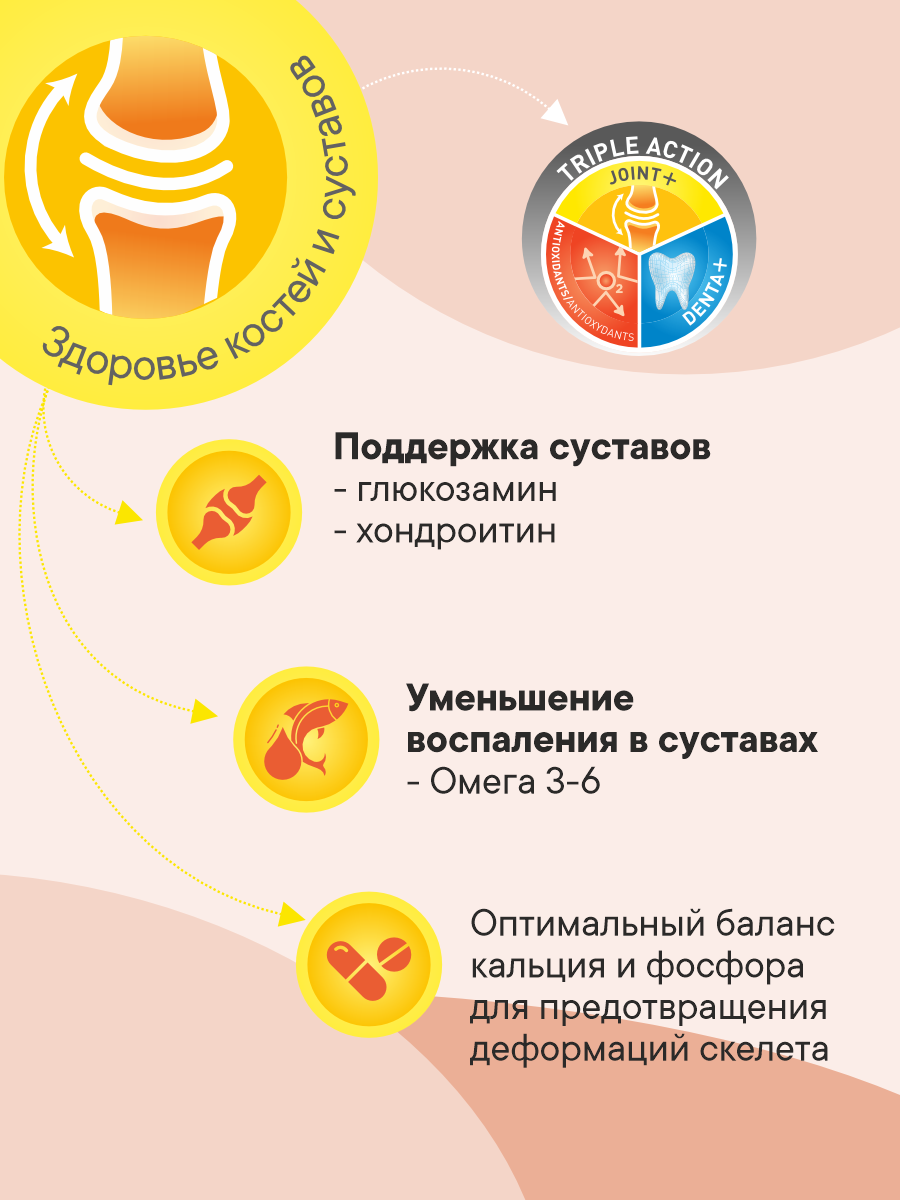 Корм сухой 1st Choice для пожилых собак мелких пород на курице 2.72кг - фото 3