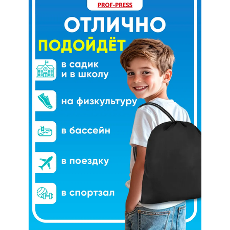 Мешок для обуви Prof-Press