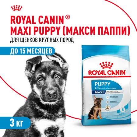 Корм для щенков ROYAL CANIN Maxi Puppy 3кг